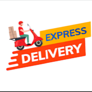 Express Delivery Service